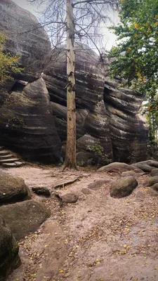 Zdjęcie atrakcji