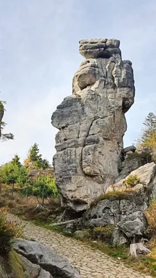 Zdjęcie atrakcji