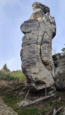 Zdjęcie atrakcji