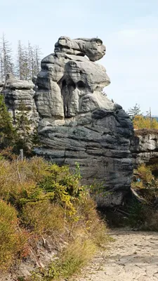 Zdjęcie atrakcji
