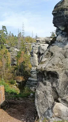 Zdjęcie atrakcji
