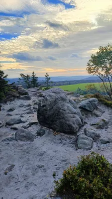 Zdjęcie atrakcji