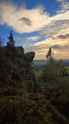 Zdjęcie atrakcji