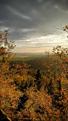 Zdjęcie atrakcji