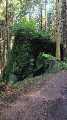 Zdjęcie atrakcji