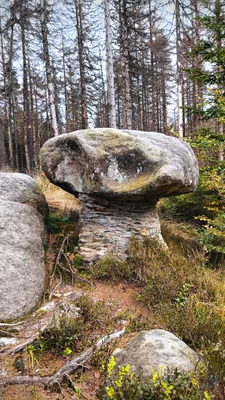 Zdjęcie atrakcji