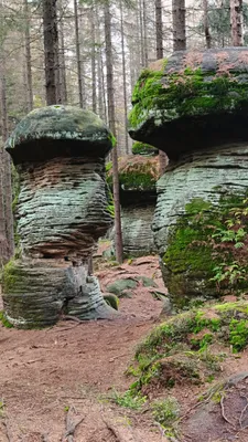 Zdjęcie atrakcji