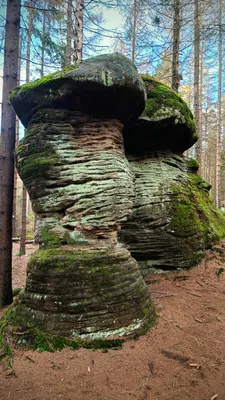 Zdjęcie atrakcji