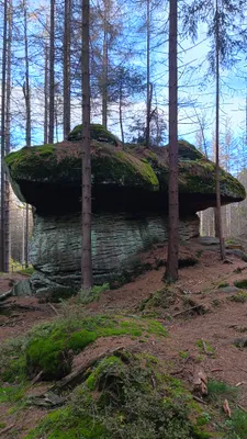 Zdjęcie atrakcji