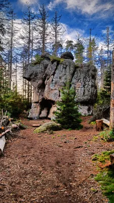 Zdjęcie atrakcji