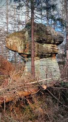 Zdjęcie atrakcji