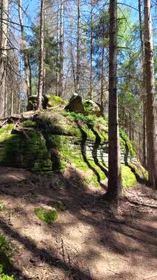 Zdjęcie atrakcji