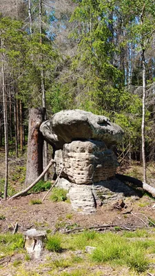 Zdjęcie atrakcji