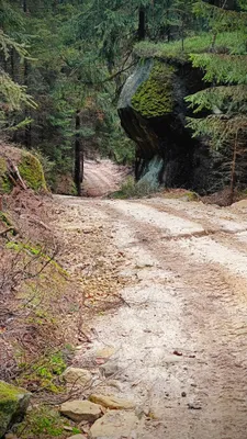 Zdjęcie trasy