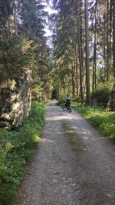 Zdjęcie trasy