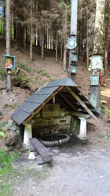 Zdjęcie trasy