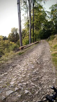 Zdjęcie trasy