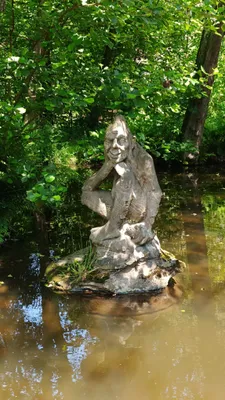 Zdjęcie trasy