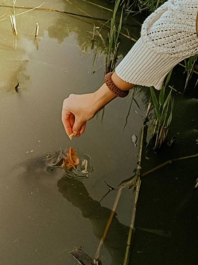 Obraz obiektu cichy zakątek